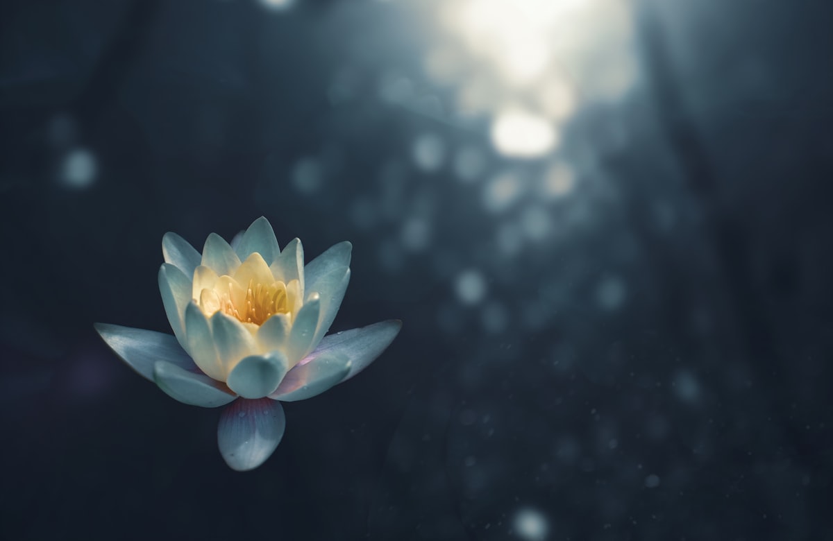 Meditation in ruhiger Atmosphäre